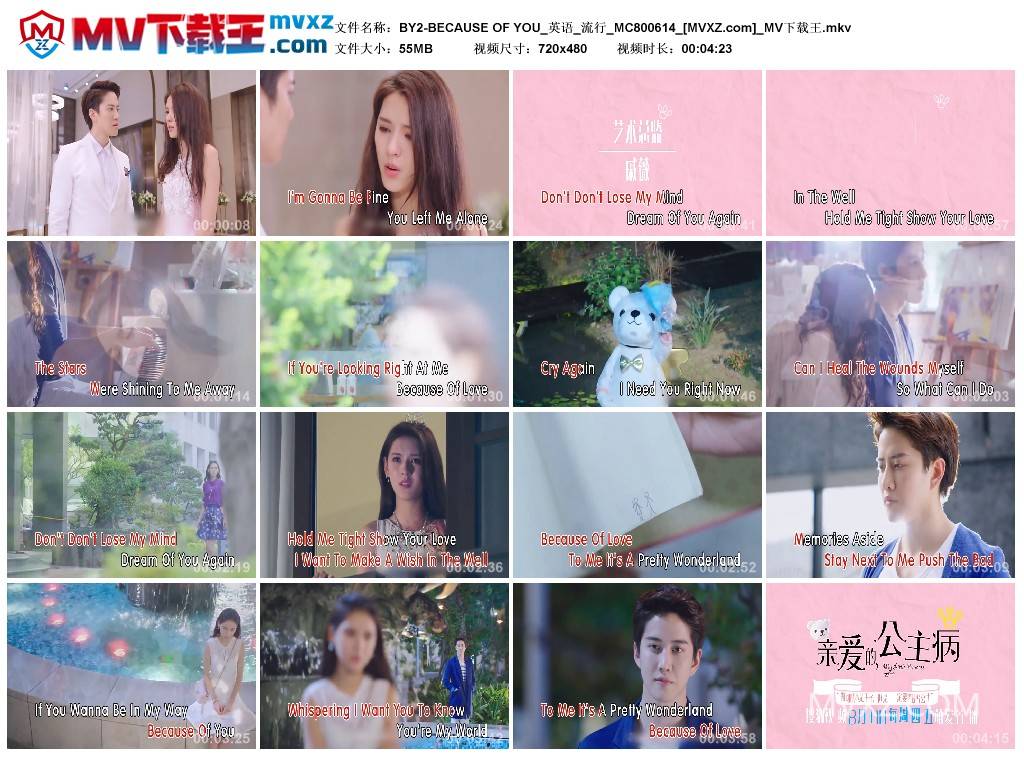 BY2-BECAUSE OF YOU_英语_流行_MC800614